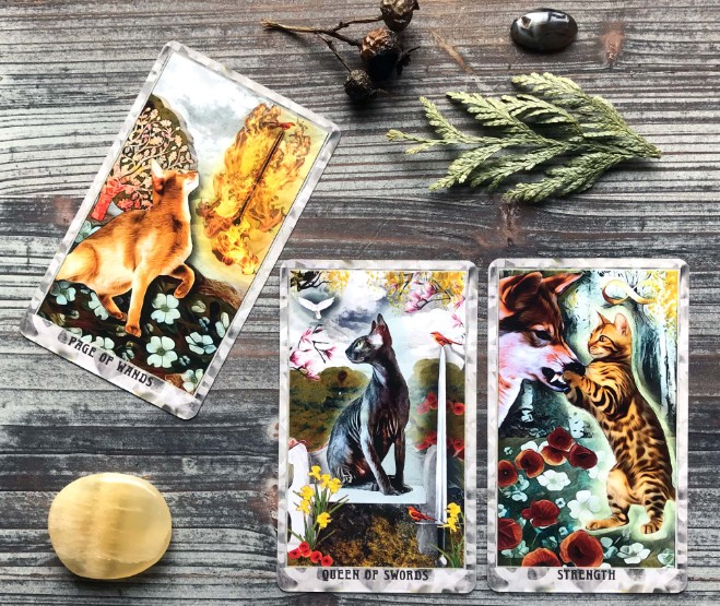 Tarot de Grimalkin
